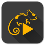 Stellio Music Player 4.12.3 Patched APK