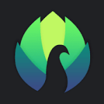 Peafowl Theme Maker for EMUI & MIUI Pro 13.0.7
