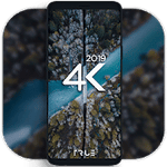 4K Wallpapers Auto Wallpaper Changer Pro 1.8