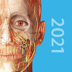 Human Anatomy Atlas 2021 Complete 3D Human Body 2021.0.16 Paid