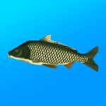 True Fishing Fishing simulator 1.14.4.673 Mod money
