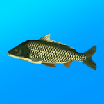 True Fishing. Fishing simulator 1.14.4.682 Mod money
