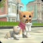 Cat Sim Online Play with Cats 205 MOD APK Money