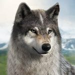 Wolf Game The Wild Kingdom 1.0.4 APK Latest