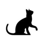 Human to Cat Translator 1.0.10 MOD APK Premium Unlocked
