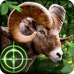 Wild Hunter 3D 1.0.5