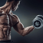 Dr  Max Muscle 1.0.1
