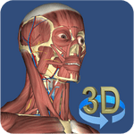 3D Anatomy 3.1.0