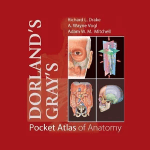 Pocket Atlas of Anatomy TR Premium 8.0.249
