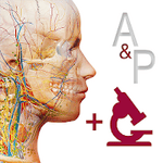 Anatomy & Physiology 6.0.71