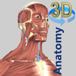 3D Anatomy 4.3.0 Paid