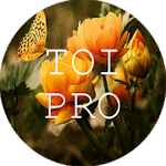Text Over Image PRO Write Text On Photos, Memes 1.1.8 Paid
