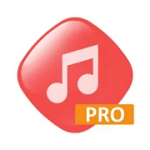 MP3 PLAYER PRO 2.0 Paid