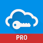 Password Manager SafeInCloud Pro 19.3.0 Patched