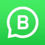 WhatsApp Business 2.19.74