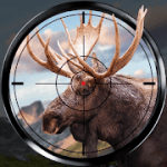 Wild Hunt Sport Hunting Games Hunter & Shooter 3D 1.347 MOD (Unlimited Bullets)