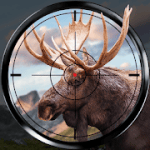 Wild Hunt Sport Hunting Games Hunter & Shooter 3D 1.366 MOD (Unlimited Ammo)