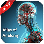 Gray’s Atlas of Anatomy Pro No Ads 1.1