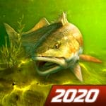 My Fishing World Realistic fishing 1.12.91 MOD (Money + VIP)