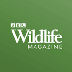 BBC Wildlife Magazine Animal News Facts & Photo 6.2.4 Subscribed