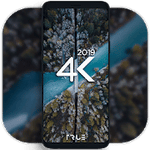 4K Wallpapers Auto Wallpaper Changer Pro 1.7.2.1