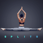 Splits Flexibility Training Stretching Exercises 2.1.101 Ad Free