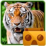 Amazon Rainforest VR Zoo Animals 1.2 Paid