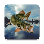Fishing in Yerky 4.5.2 Mod Money