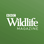 BBC Wildlife Magazine Animal News Facts & Photo 6.2.11 Subscribed