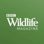 BBC Wildlife Magazine Animal News Facts & Photo 6.2.12.1 Subscribed