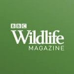 BBC Wildlife Magazine Animal News Facts & Photo 6.2.12.4 Subscribed
