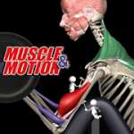 Strength Training by Muscle and Motion Premiuim  2.2.14