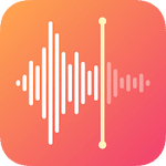 Voice Recorder & Voice Memos Voice Recording App 1.01.26.0106 Vip