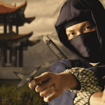 Ninja assassin’s Fighter Samurai Creed Hero 2021 1.0.3 Mod money