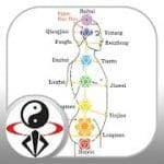 Acupressure Massage Qigong YMAA 1.0.2 Unlocked