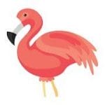 Flamingo Animator 2.1 Unlocked