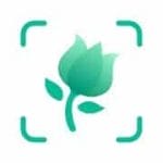 PictureThis Identify Plant Flower Weed and More 3.0.6 Gold