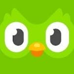 Duolingo Learn Languages Free 5.18.5 Unlocked