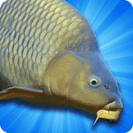 Carp Fishing Simulator Pike Perch & More 2.1.6 Mod money