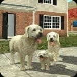 Dog Sim Online Raise a Family 202 MOD APK money