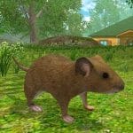Mouse Simulator Forest Home 1.35 MOD APK Free shopping