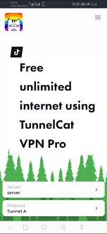 FNL TUNNEL VPN APK2